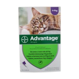 BAYER ADVANTAGE Roztwór do nakrapiania dla kotów powyżej 4 kg (4 x 0,8 ml)