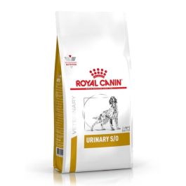 ROYAL CANIN Dog urinary S/O 2 kg sucha karma dla dorosłych psów ze schorzeniami dolnych dróg moczowych