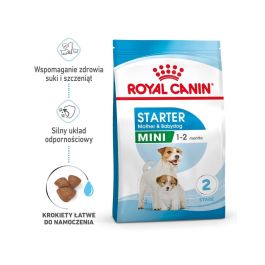 ROYAL CANIN Mini Starter Mother& Babydog 4 kg karma sucha dla suk w ciąży i okresie laktacji oraz szczeniąt, od 4 do 8 tygodnia, ras małych