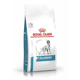 ROYAL CANIN Dog anallergenic 3 kg sucha karma dla dorosłych psów z alergią pokarmową z objawami dermatologicznymi i/lub żołądkowo-jelitowymi