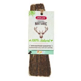 ZOLUX Poroże jelenia PUPPY oszlifowane krawędzie
