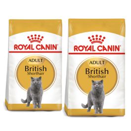 ROYAL CANIN British Shorthair karma sucha dla kotów dorosłych rasy brytyjski krótkowłosy 20 kg (2 x 10 kg)