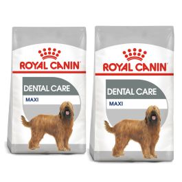 ROYAL CANIN CCN Maxi Dental Care karma sucha dla psów dorosłych, ras dużych, redukująca powstawanie kamienia nazębnego 18 kg (2 x 9 kg)