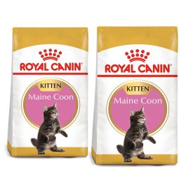 ROYAL CANIN Maine Coon Kitten karma sucha dla kociąt, do 15 miesiąca, rasy maine coon 20 kg (2 x 10 kg)