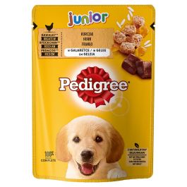 PEDIGREE Junior Wybór smaków 24x100g saszetka z kurczakiem i ryżem w galaretce