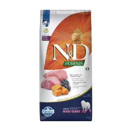 FARMINA N&D Pumpkin Dog Adult Giant Maxi lamb & bluberry 12 kg karma dla dorosłych psów ras dużych z jagnięciną