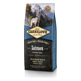 CARNILOVE Salmon Adult Grain-free łosoś 4 kg