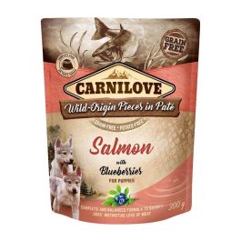 CARNILOVE Dog Paté Salmon with Blueberries Puppies 300g mokra karma dla szczeniąt Łosoś z jagodami