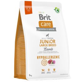 BRIT Care Hypoallergenic Junior Large Breed z jagnięciną 3 kg