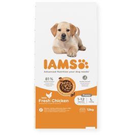IAMS ProActive Health Puppy & Junior Large Breed Chicken 12 kg