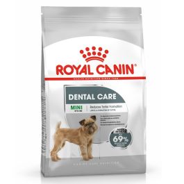 ROYAL CANIN CCN Mini Dental Care karma sucha dla psów dorosłych, ras małych, redukująca powstawanie kamienia nazębnego 1 kg