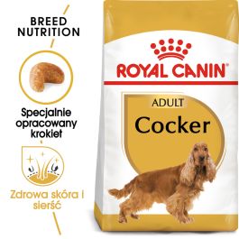 ROYAL CANIN Cocker adult 12 kg sucha karma dla dorosłych psów rasy cocker spaniel