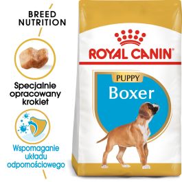 ROYAL CANIN Boxer Puppy Junior 12 kg sucha karma dla szczeniąt do 15 miesiąca, rasy boxer