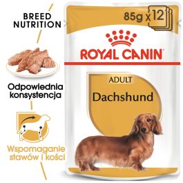 ROYAL CANIN Jamnik Adult 12 x 85 g karma mokra specjalnie dla dorosłych psów rasy jamnik