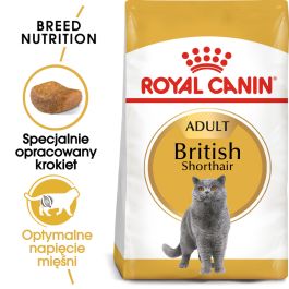 ROYAL CANIN British Shorthair karma sucha dla kotów dorosłych rasy brytyjski krótkowłosy 400 g