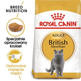 ROYAL CANIN British Shorthair karma sucha dla kotów dorosłych rasy brytyjski krótkowłosy 3 x 400 g
