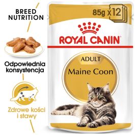 ROYAL CANIN Mainecoon saszetka 48x85 g
