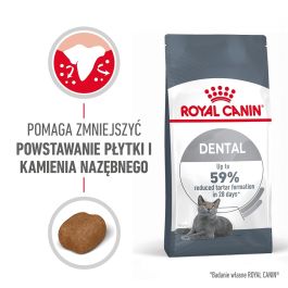 ROYAL CANIN Dental Care 16 kg (2 x 8 kg) karma sucha dla kotów dorosłych, redukująca odkładanie kamienia nazębnego