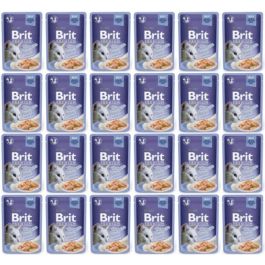 BRIT Premium Cat  Fillets in Jelly mokra karma z łososiem dla kotów 24x85 g