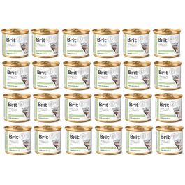 BRIT Veterinary Diet Diabetes Lamb & Pea na cukrzycę dla kota 24x200 g