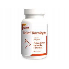DOLVIT KARNITYNA 90TAB.