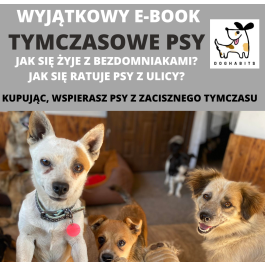 Tymczasowe psy. Jak się żyje z bezdomniakami? - E-book