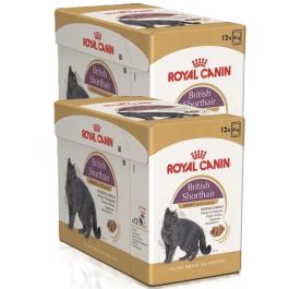 ROYAL CANIN British Shorthair karma mokra w sosie dla kotów dorosłych rasy brytyjski krótkowłosy 24x85 g