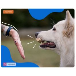 Kłótnie i kompromisy