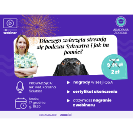 Zwierzęta w sylwestra: webinar