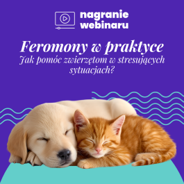 Feromony w praktyce: nagranie webinaru