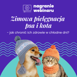 Zimowa pielęgnacja psa i kota: nagranie webinaru 