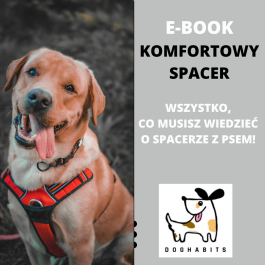 Komfortowy spacer