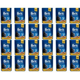 BRIT Premium Cat Adult łosoś i pstrąg saszetka dla kota 24 x 100g