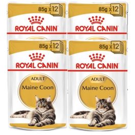 ROYAL CANIN Mainecoon saszetka 48x85 g