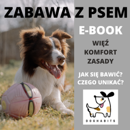 Zabawa z psem - E-book