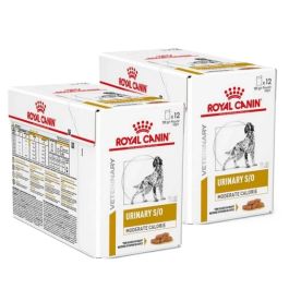 ROYAL CANIN VET Dog Urinary 24x100 g