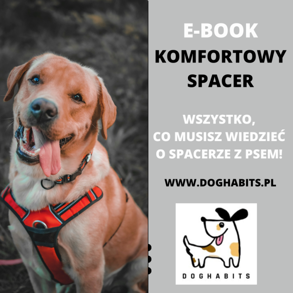 Komfortowy spacer - Ebook