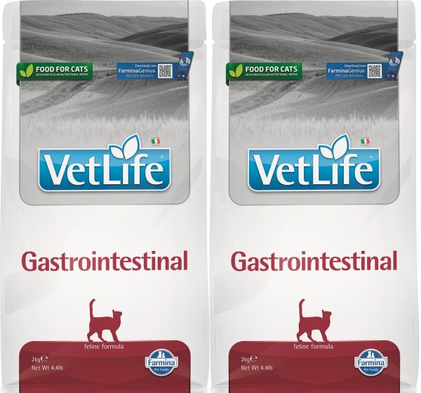 FARMINA Vet life Gastrointestinal Cat sucha karma dla kotów z problemami żołądkowymi 2 x 2 kg