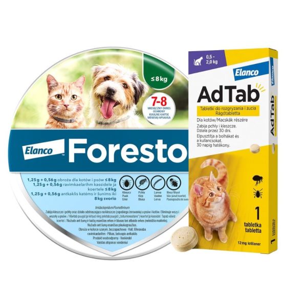 FORESTO Obroża dla kota i psa poniżej 8 kg przeciw kleszczom i pchłom + ELANCO AdTab 12 mg tabletka na kleszcze dla kotów (0,5–2,0 kg)