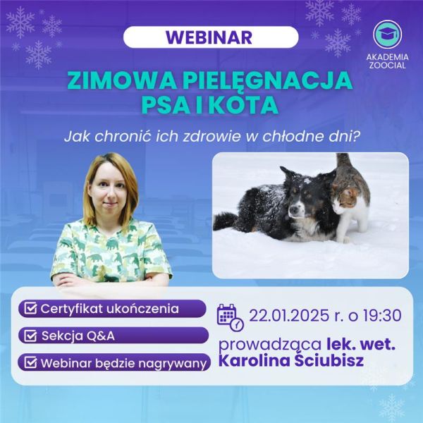 Zimowa pielęgnacja psa i kota – webinar