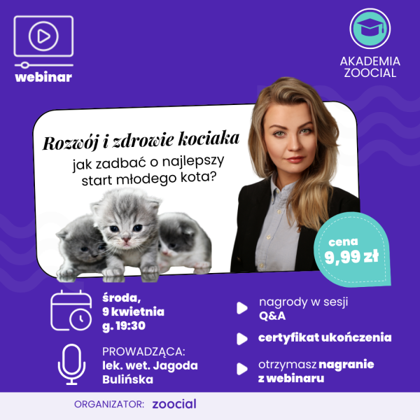 Rozwój i zdrowie kociaka: webinar