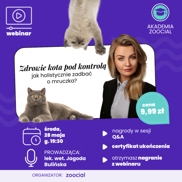 Zdrowie kota pod kontrolą: webinar