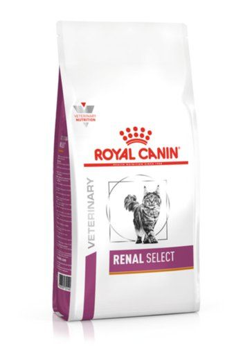 ROYAL CANIN Cat Renal Select 4 kg sucha karma dla kotów z przewlekłą niewydolnością nerek