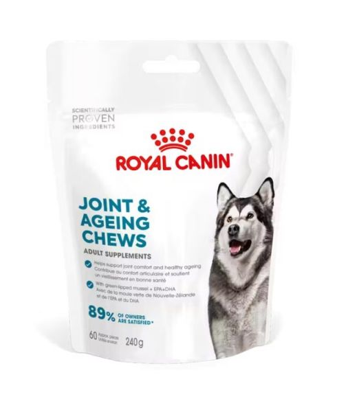 ROYAL CANIN Joint Ageing Adult Dog Supplements 240g suplement na prawidłowe funkcjonowanie stawów dla dorosłych psów