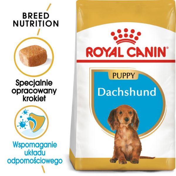 ROYAL CANIN Dachshund Puppy Junior karma sucha dla szczeniąt do 10 miesiąca, rasy jamnik  1.5 kg