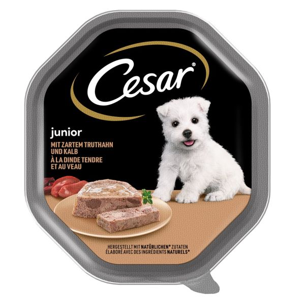 CESAR Junior tacka 150 g pasztet z indykiem i cielęciną dla szczeniąt