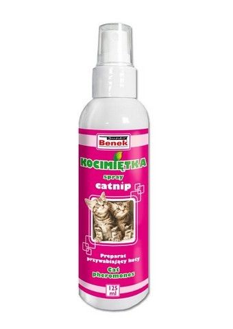 BENEK Kocimiętka dla kota 125 ml