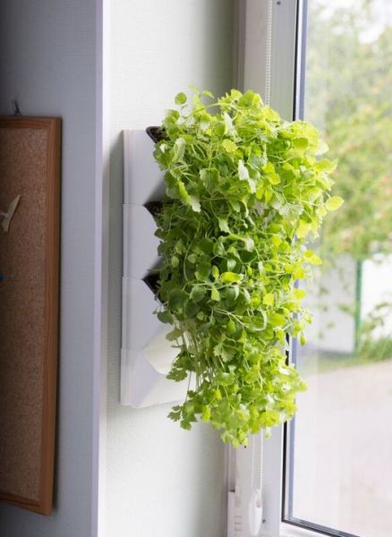 AQUAEL Moduł Ścienny Versa Garden Herbs