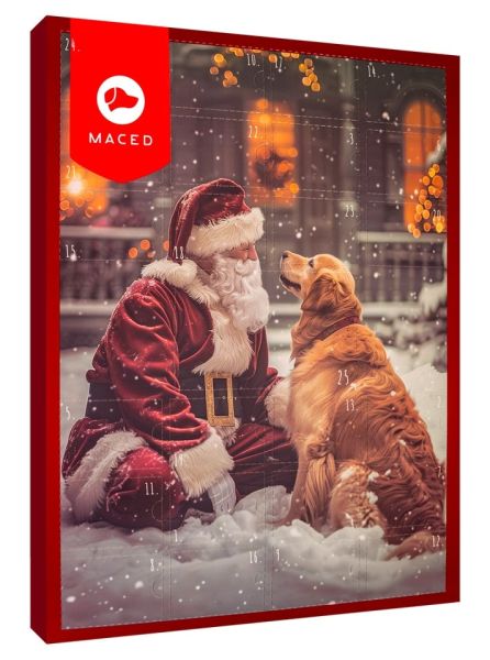 MACED Kalendarz adwentowy dla psa