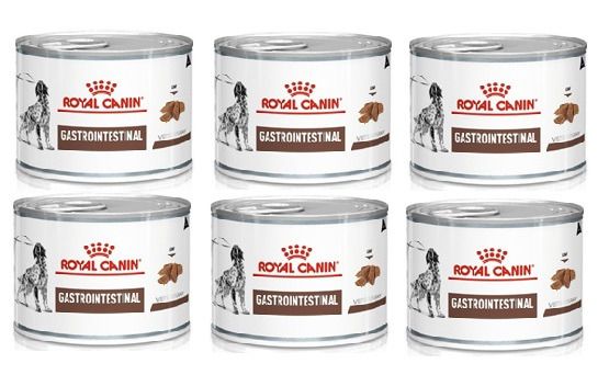 ROYAL CANIN Gastro Intestinal Canine 6 x 200 g